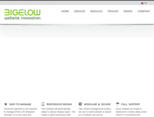 Tablet Screenshot of bigelow.ch